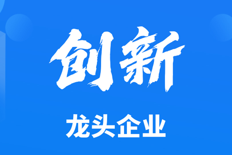 创新龙头企业！河南卫华入选！
