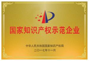 11.国家知识产权