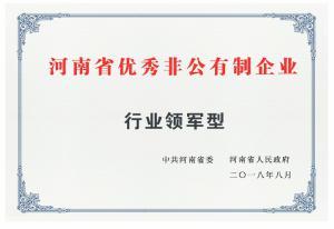 13.***非公有企业
